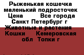 Рыженькая кошечка маленький подросточек › Цена ­ 10 - Все города, Санкт-Петербург г. Животные и растения » Кошки   . Кемеровская обл.,Топки г.